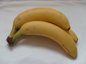 bananas_by_Ptooey_stock